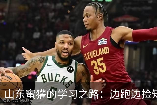 山东蜜獾的学习之路：边跑边捡知识的乐趣